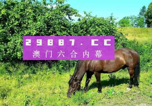 奥门一肖一码一中一,精选解释解析