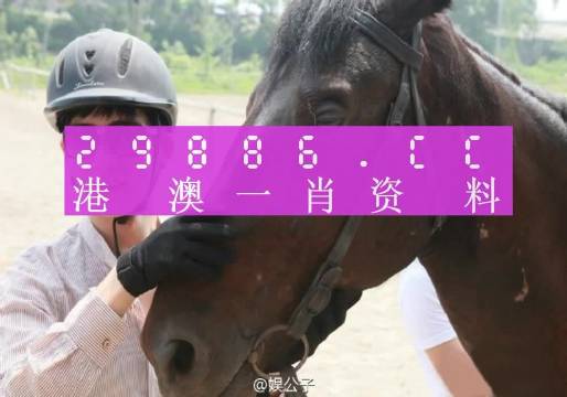 澳门一肖一码一必中一肖同舟前进/全面释义解释落实